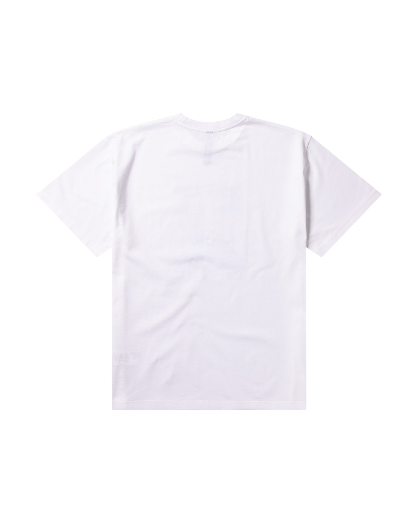Kailash SS Tee