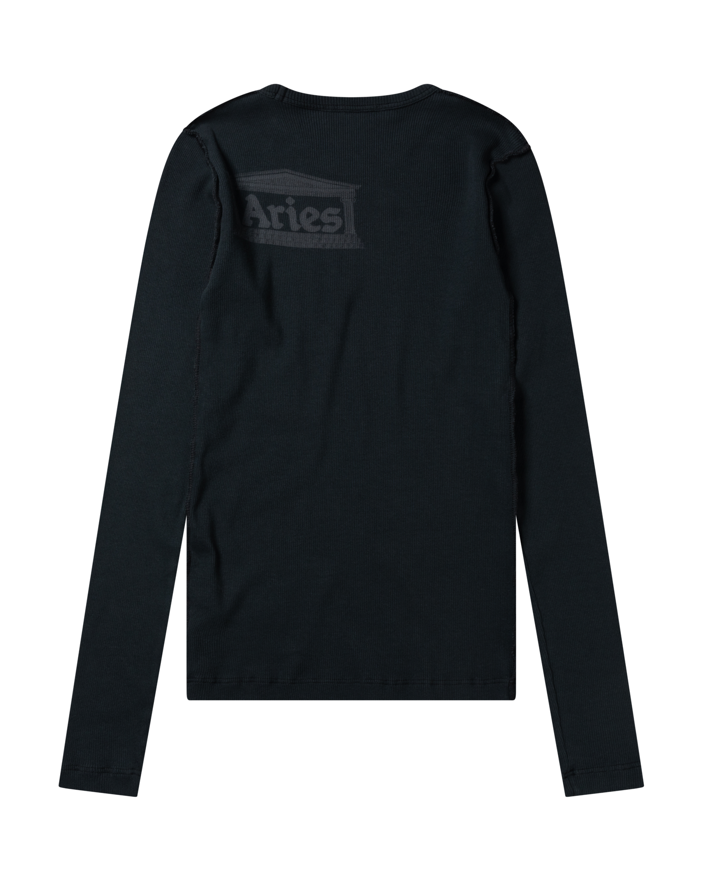 Ancient Temple Baby LS Tee