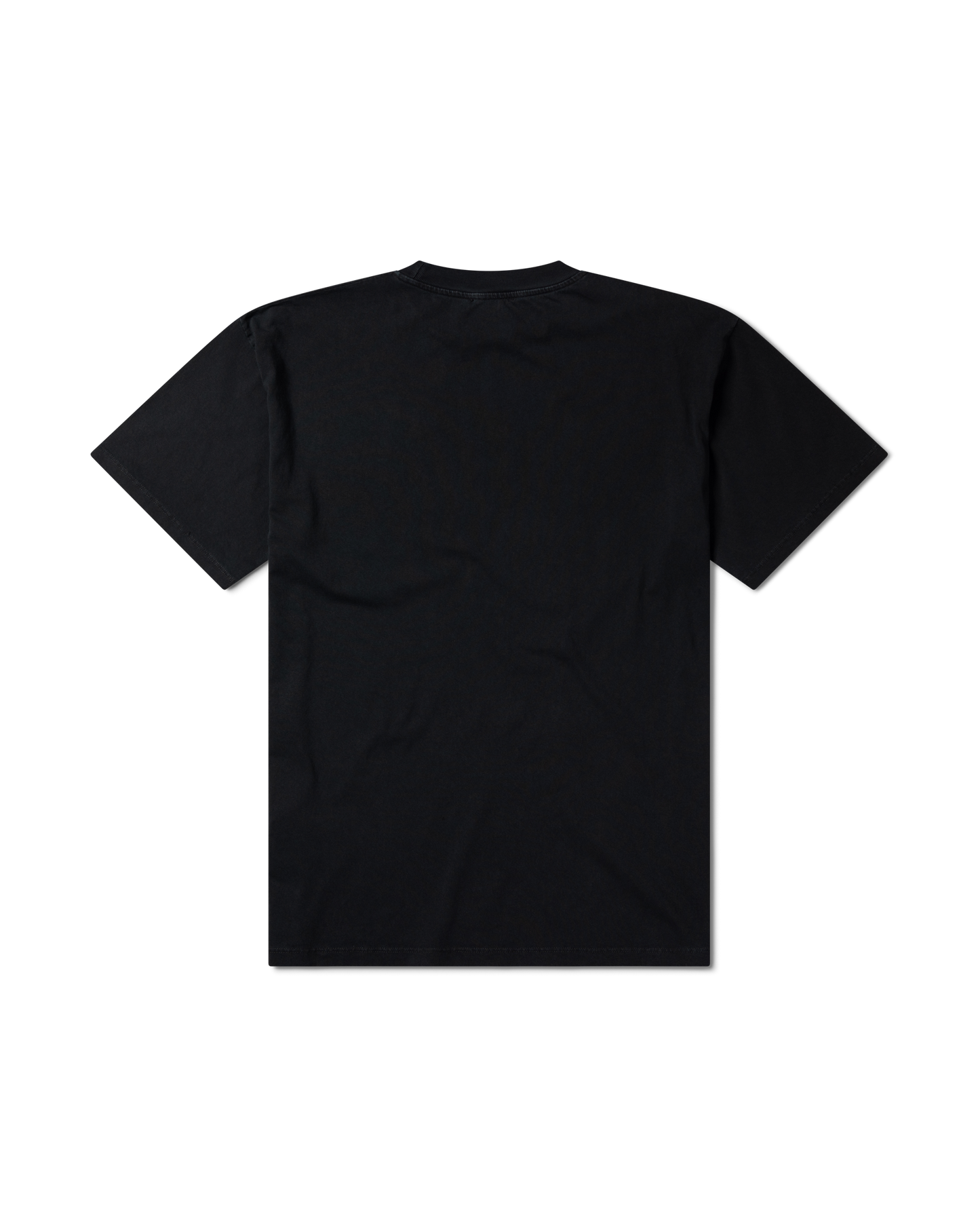 Faded Arise with Aries SS Tee