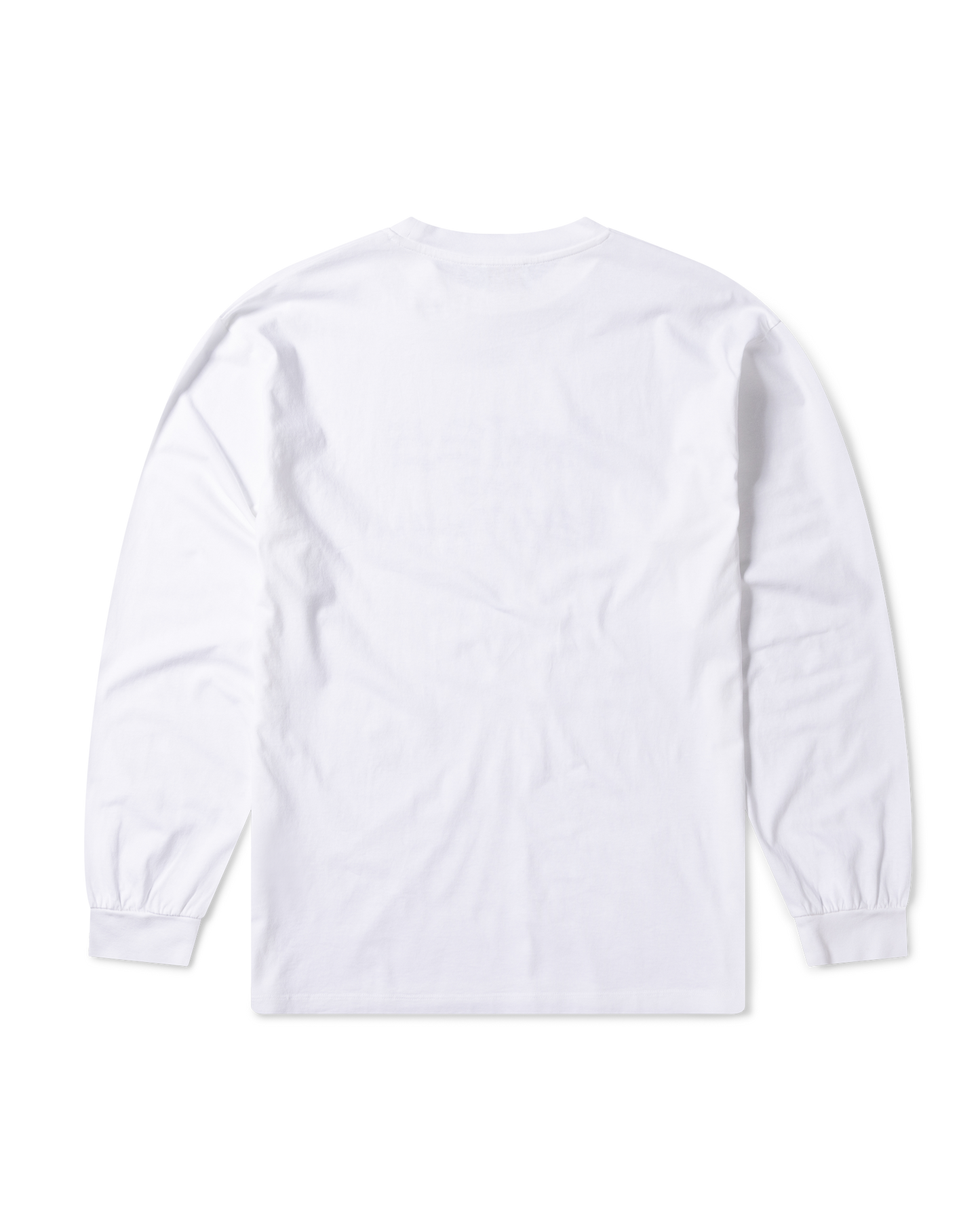 Aries and Destroy LS Tee