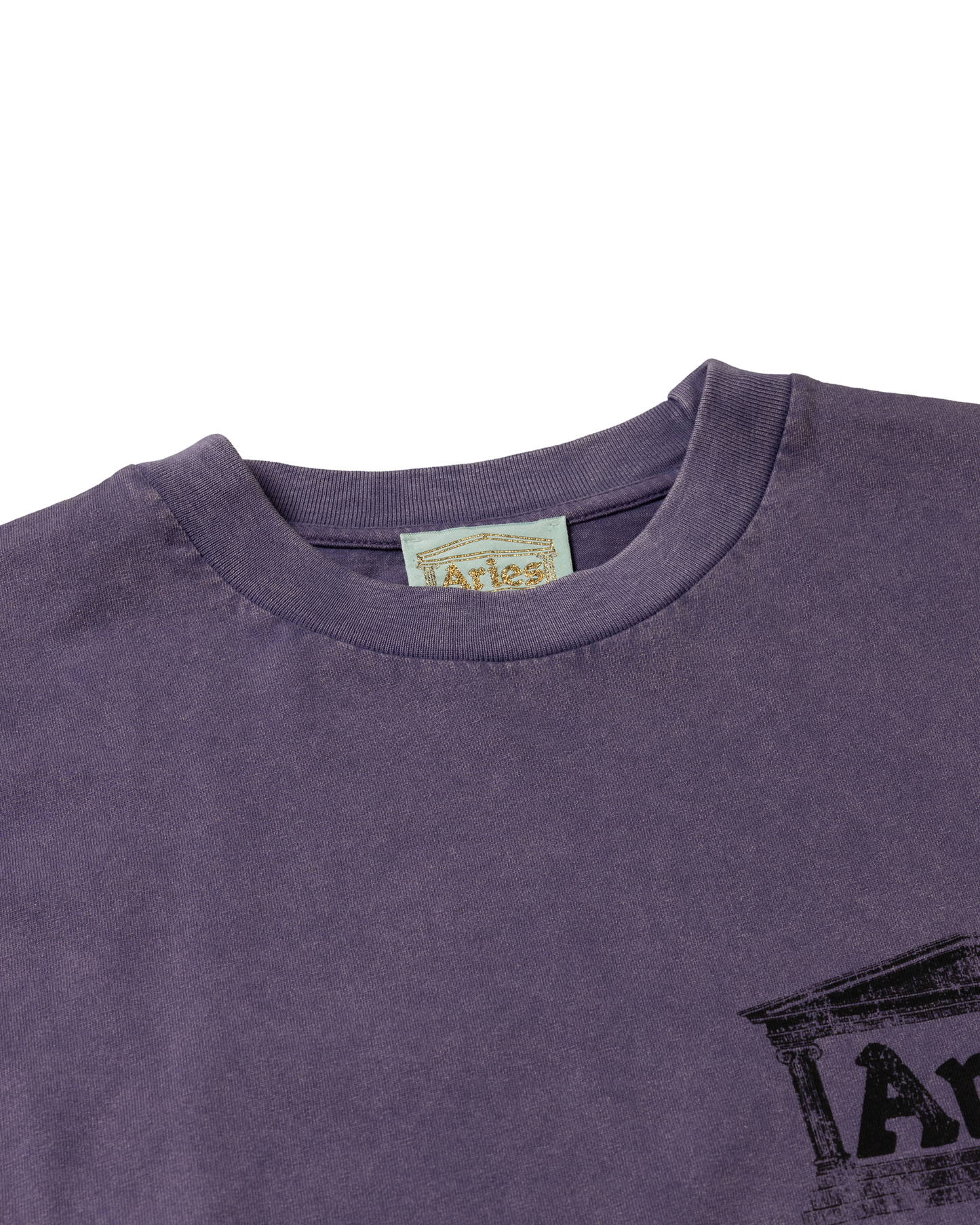 Aged Ancient Temple SS Tee