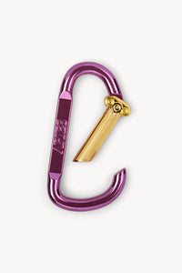 Column Carabiner