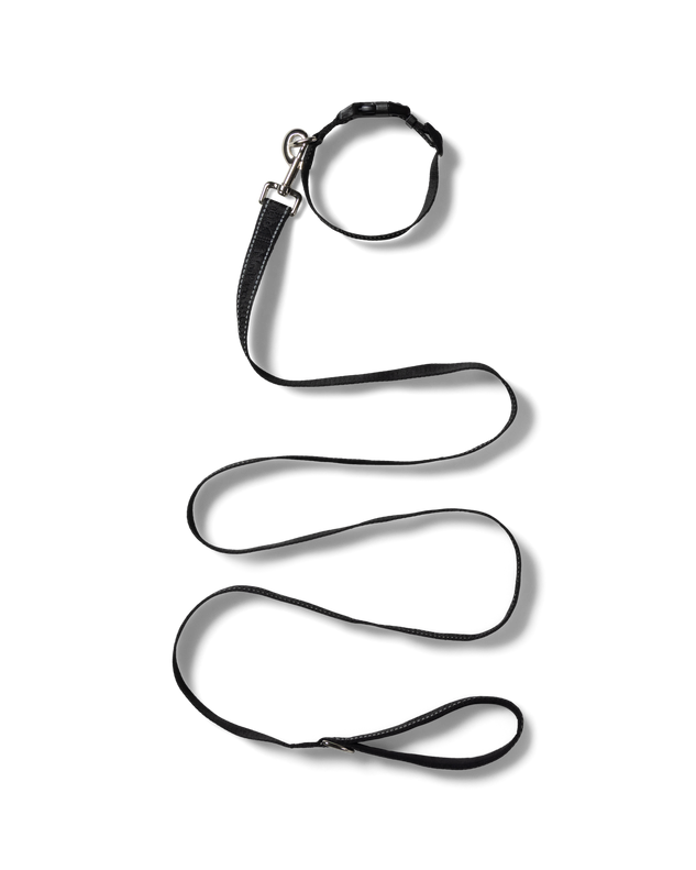 NP Pet Lead