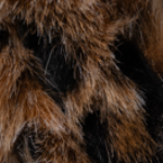 Faux Leopard Mazzo Belt