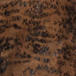 Aries x KFC Distressed Leather Jacket