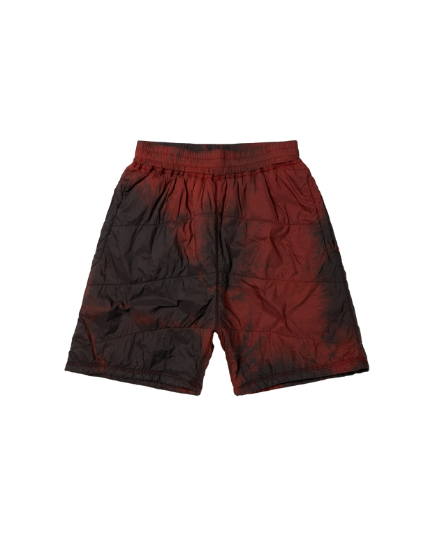 Padded Liner Short