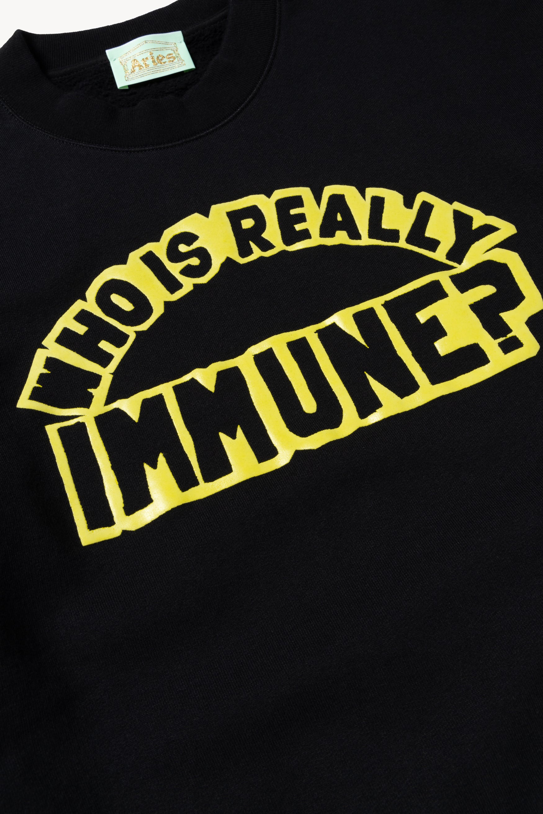 Load image into Gallery viewer, Immune Sweatshirt
