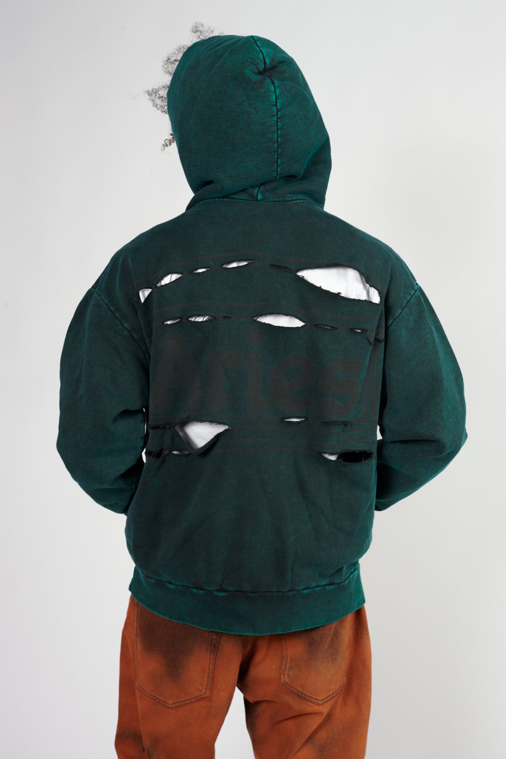 Load image into Gallery viewer, Destroyed Temple Hoodie