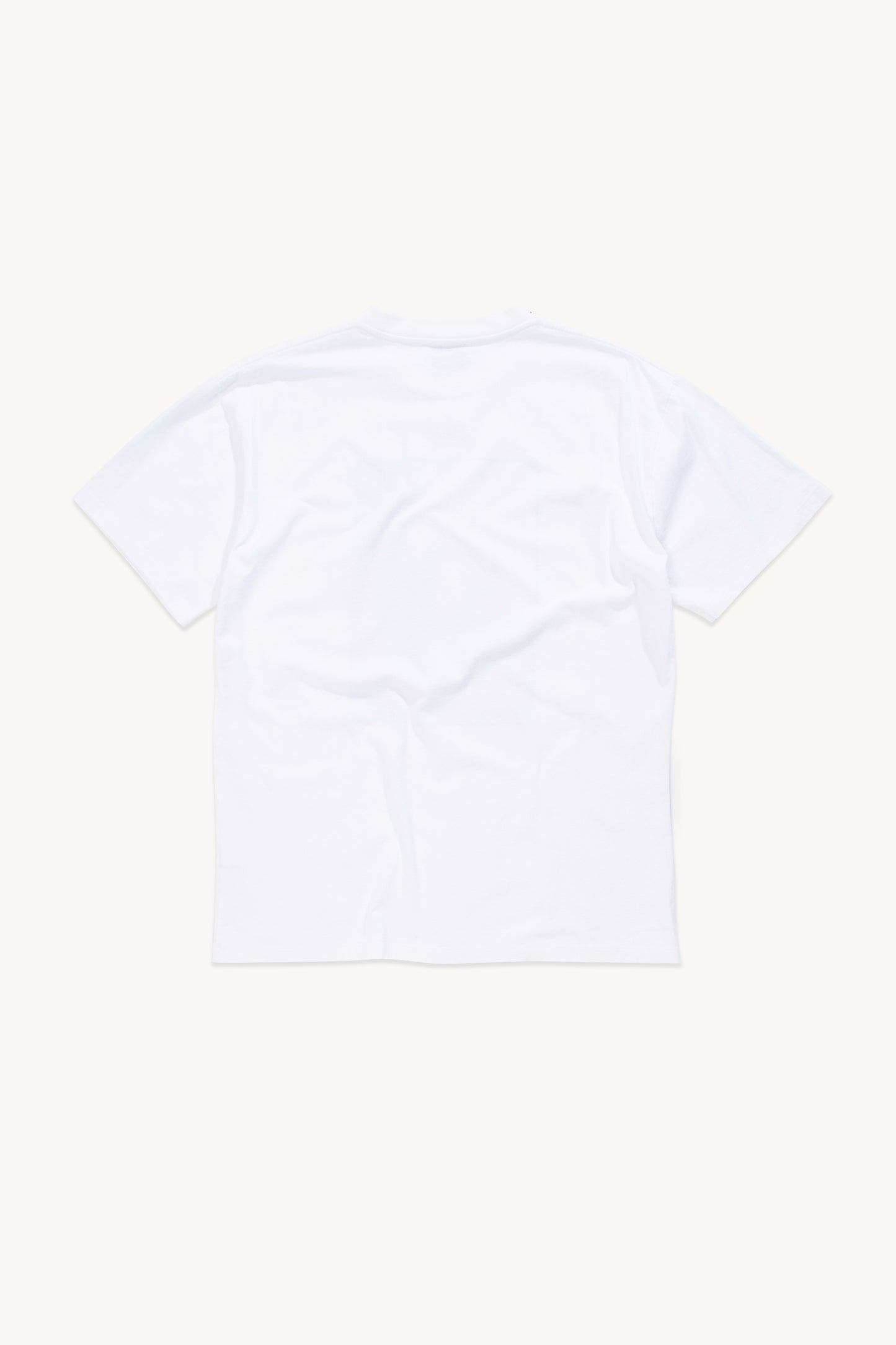 Stonehenge Polaroid Tee