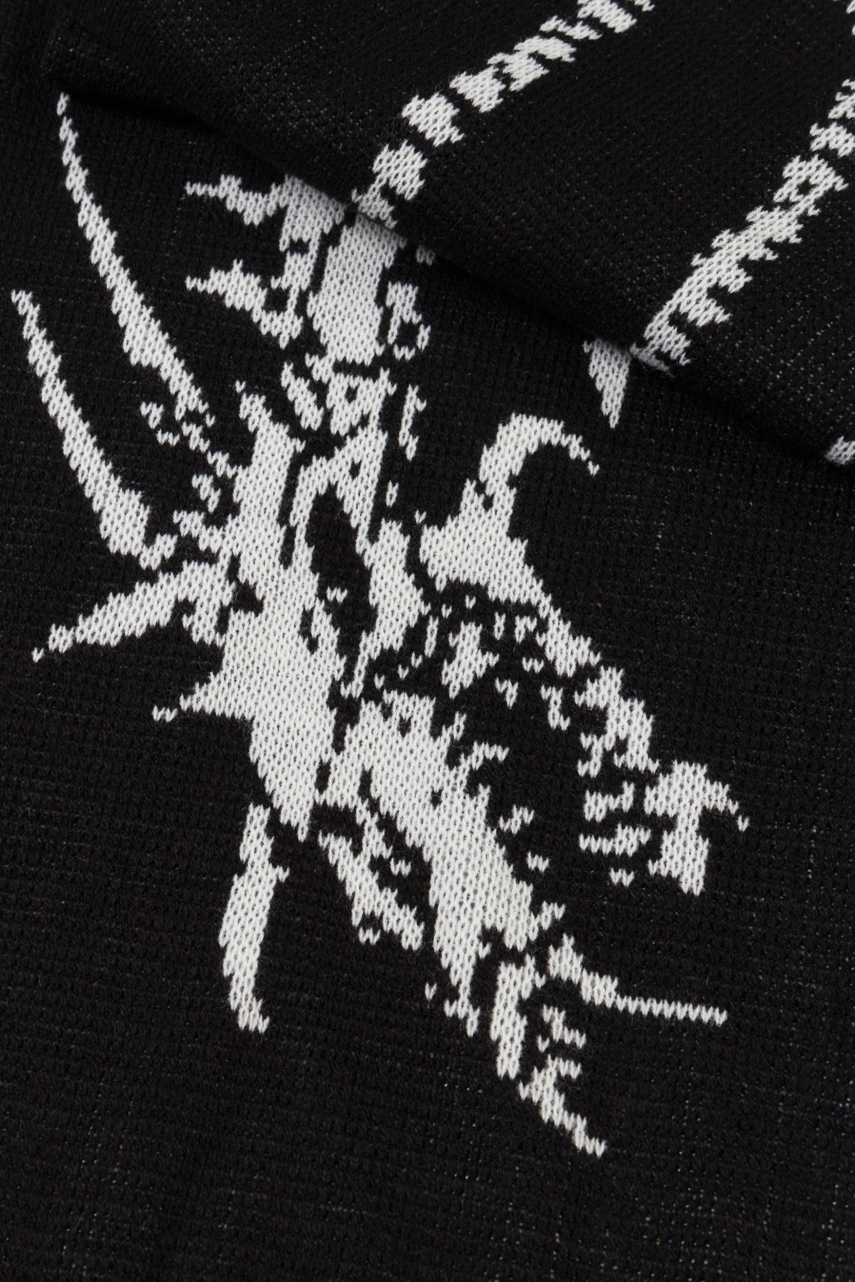 Load image into Gallery viewer, Dragon Skeleton Scarf