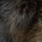 Oversized Yeti Hoodie